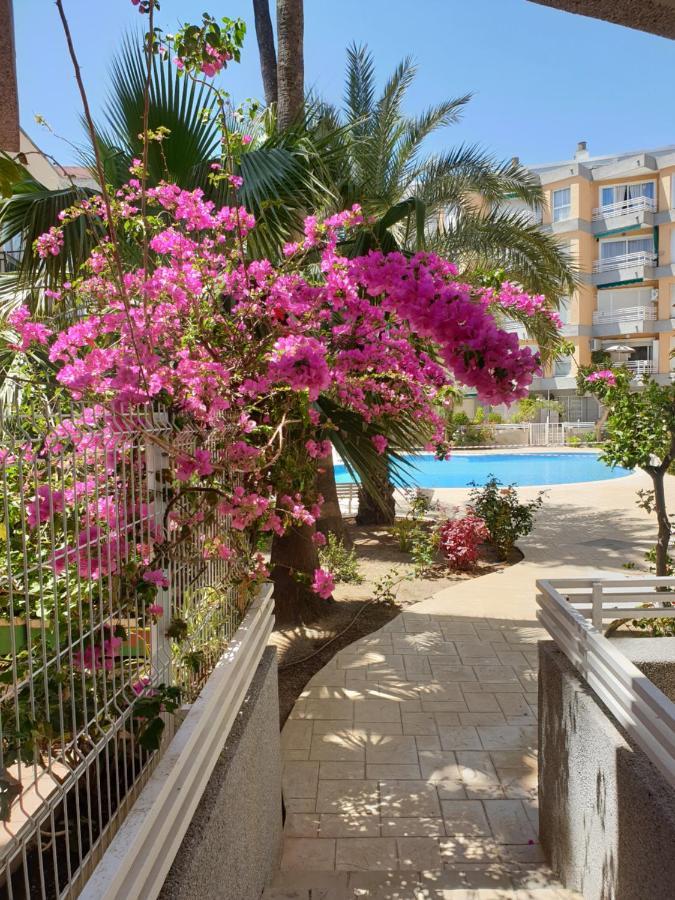 Estrella Home Σαλού Εξωτερικό φωτογραφία